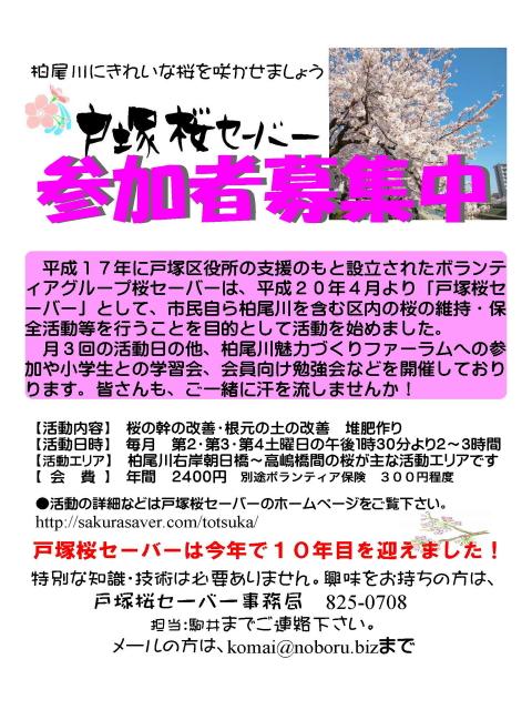 Hanako-戸塚桜セーバー募集チラシ