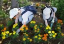 2025.06.28　下草の刈り取り