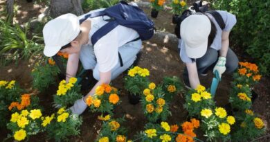 2025.06.28 下草の刈り取り 2025.06.28 下草の刈り取り