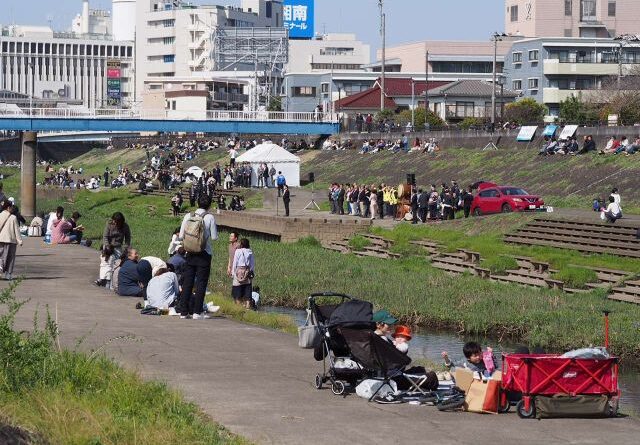 2026.03.28　桜祭りと観察会